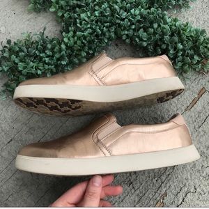 dr scholl's madison rose gold